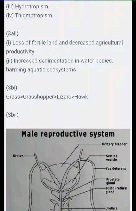 2024 NECO Biology Questions and Answers