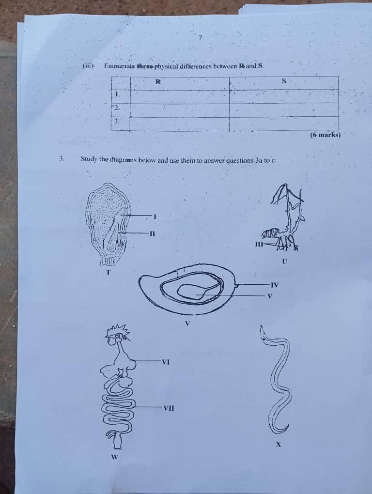 NECO GCE Biology Practical Questions and Answers