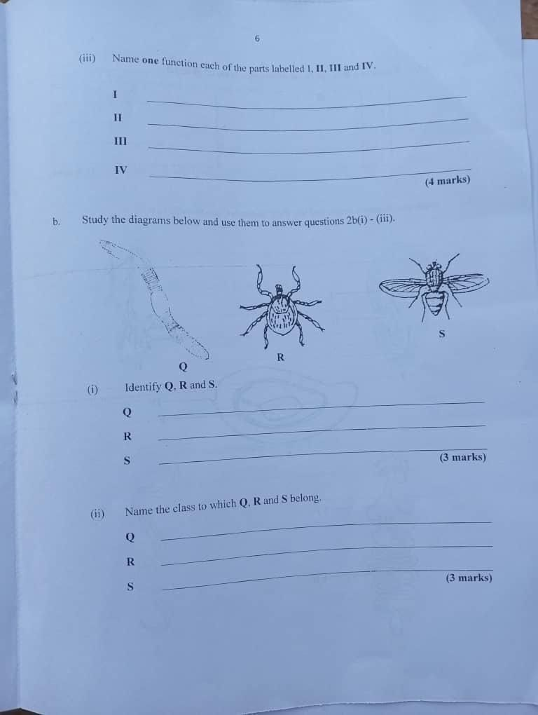 NECO GCE Biology Practical Questions and Answers