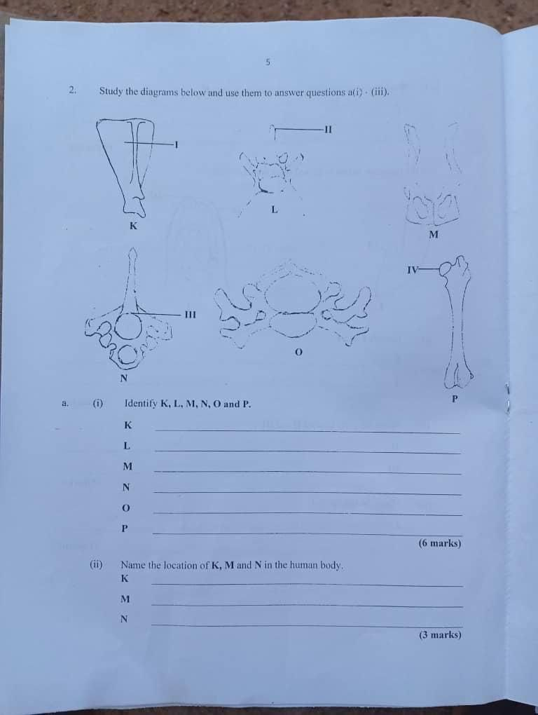 NECO GCE Biology Practical Questions and Answers