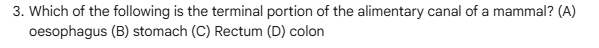 2024 jamb biology question: Which of the following is the terminal portion of the alimentary canal of a mammal? (A) oesophagus (B) stomach (C) Rectum (D) colon